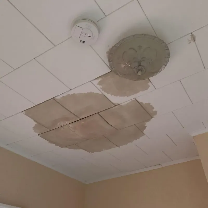 Ceiling Water Damage Repair in Medina, OH